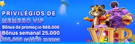 Dealers profissionais da 56558.Com